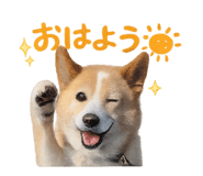 842650128
