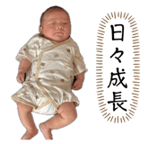 842650152