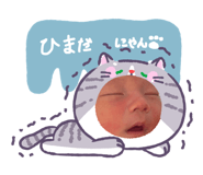 842650171