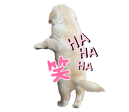 842650290