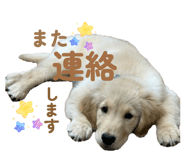 842650295