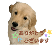 842650299