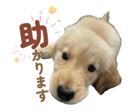 842650301