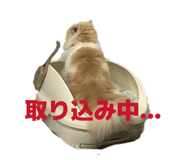 842650311