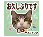 842650557