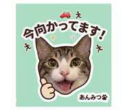 842650559