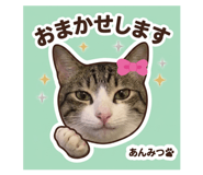 842650560