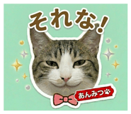 842650561