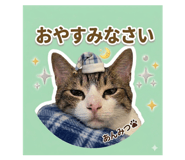 842650567