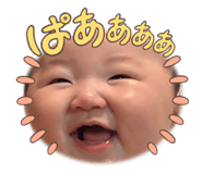 842651236