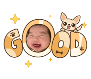 842651846