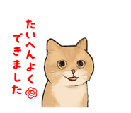 842652348
