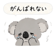 842652731