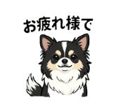 842652804