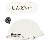 842652920
