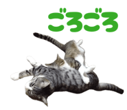 842653691