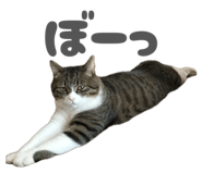 842653697