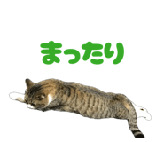 842653699