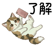 842653816