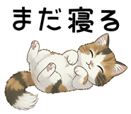 842653827