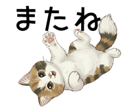 842653843