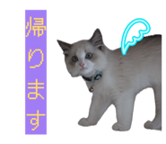 842654981