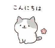 842655002