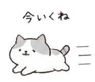 842655007