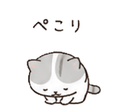 842655018