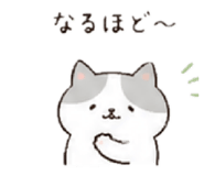 842655020