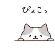 842655021