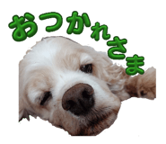 842655050