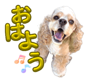 842655051
