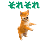 842655062