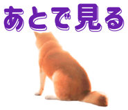 842655067