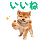842655071