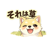 842655186
