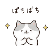 842655242