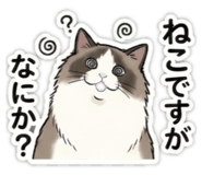 842655274