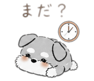 842655603