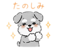 842655608