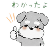 842655610
