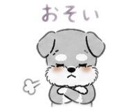 842655611