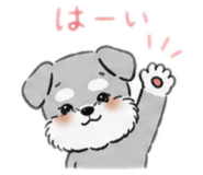 842655612