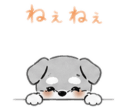 842655613