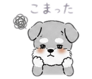 842655621