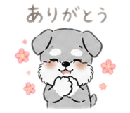 842655623