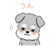 842655624