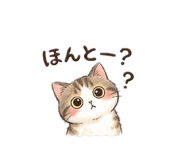 842655946