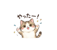 842655947